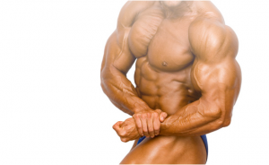ForeArms ForeArms