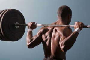 muscles muscles